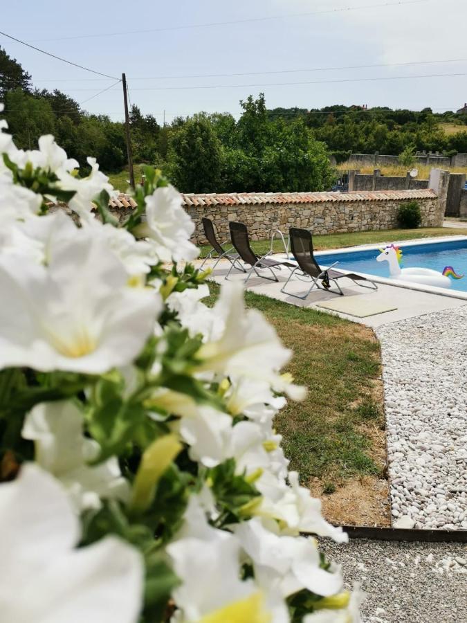 Villa Accordia Labin  Exterior foto