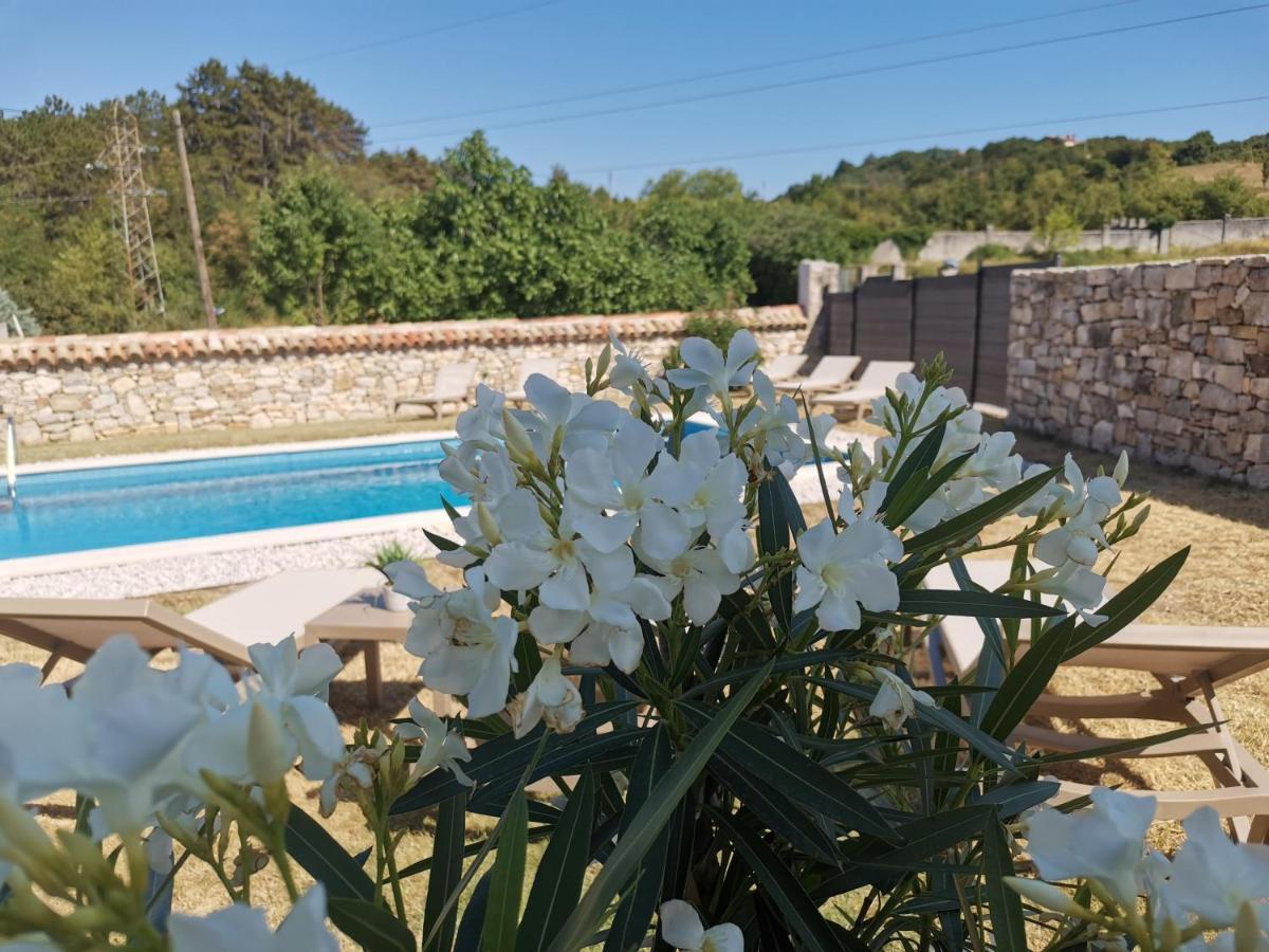 Villa Accordia Labin  Exterior foto